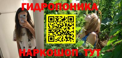 jwh Будённовск