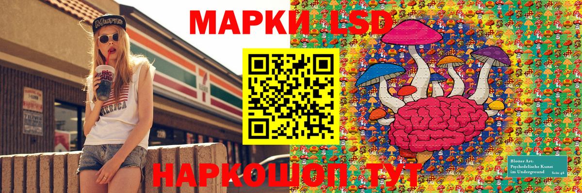 Наркотические марки 1500мкг  Вход с VPN  Тамбов  Наркотические марки 1500мкг 