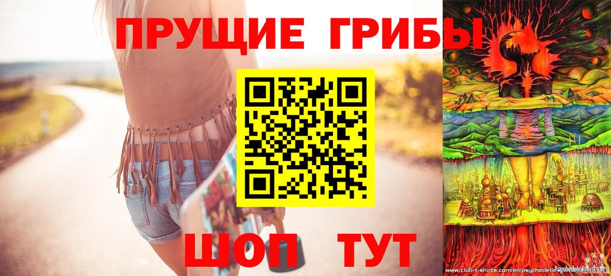 Галлюциногенные грибы прущие грибы  Вход с VPN  Тамбов 